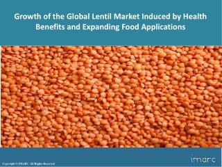 Global Lentil Market Report and Outlook 2017-2022
