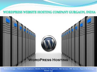 Wordpress Website Hosting Company