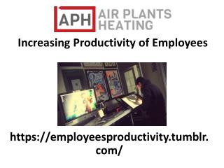 Increasing Productivity of Employees