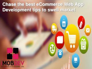 Chase the best eCommerce Web App Development tips to swell market