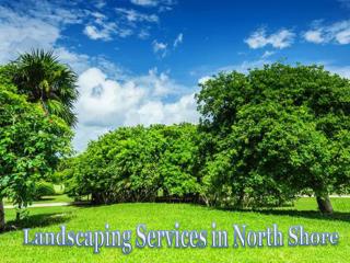 Landscaping Services North Shore
