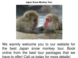 Japan Snow Monkey Tour