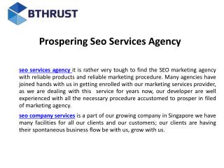 Prospering seo services agency