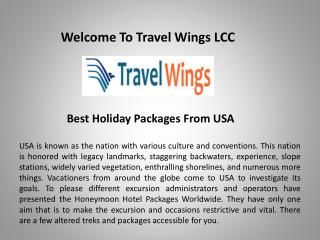 Travel Agency in Maryland, travelwingsusa.com