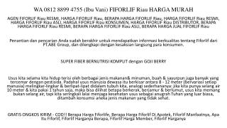 WA 0812 8899 4755 (Ibu Vani) FIFORLIF Riau HARGA MURAH