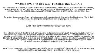 WA 0812 8899 4755 (Ibu Vani ) FIFORLIF Riau MURAH