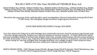 WA 0812 8899 4755 (Ibu Vani) MANFAAT FIFORLIF Riau Asli