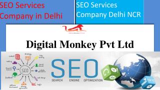 SEO Services Company Delhi NCR