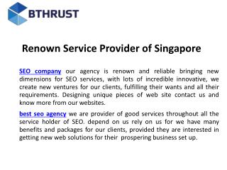 Renown service provider of singapore