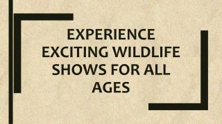 Experience Exciting Wildlife Shows for All Ages