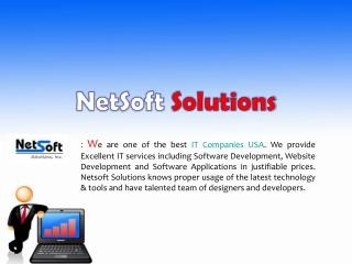 Best IT solutions services in USA