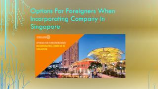 Options for foreigners when incorporating company in Singapore