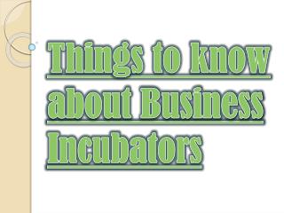 Understand What is a Business Incubator