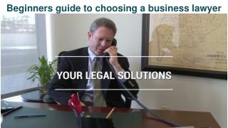 Business Litigation Lawyer