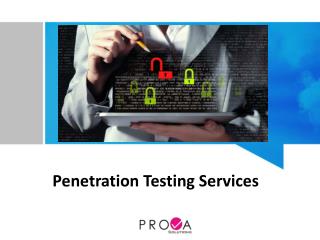 Penetration testing services