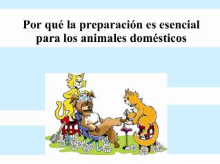 Por qué la preparación es esencial para los animales domésticos