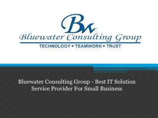 Bluewater Consulting Group - Best IT Solution Service Provider For Small Business