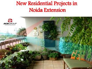 New Residential Projects in Noida Extension - ACE Group
