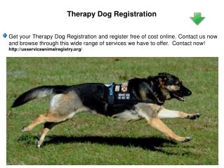 Therapy Dog Registration