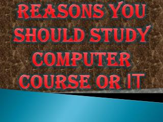 Reasons You Should Study Computer Course or IT