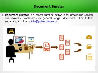 Document Burster