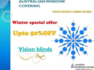 vision blinds & zebra blinds