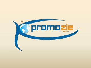 Digital Marketing and Advertising Company in Pune | PROMOZIE