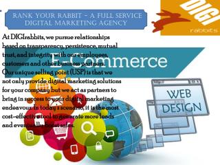 A Full Service Digital Marketing Agency - Rank Your Rabbits