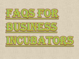 What are Business Incubators?