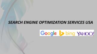 Search Engine Optimization Services USA