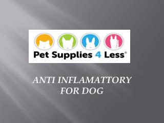 Anti Inflammatory for Dogs