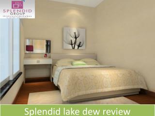 Splendid Lake Dew Review | Splendid lake dews