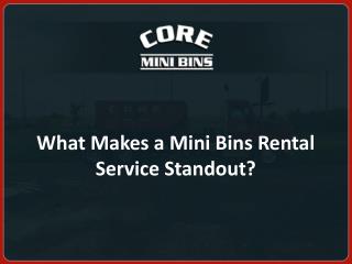 What makes a Mini Bins Rental Service Standout?