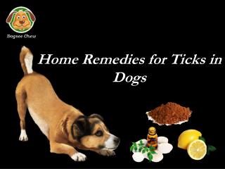 Home Remedies for Ticks in Dogs