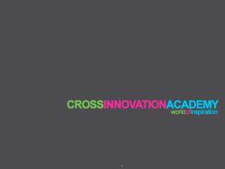 Cross Innovation Academy - Konzept