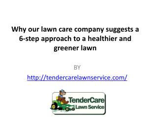 Why our lawn care company suggests a 6-step approach to a healthier and greener lawn