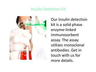 Human Hepcidin Elisa Kit