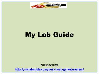 My Lab Guide