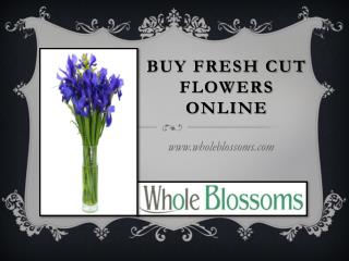 Buy Fresh Cut Flowers Online - Whole Blossoms