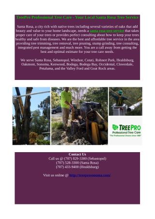 santa rosa tree service