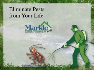 Eliminate Pests from Your Life