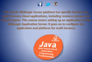 Java Multi-Tenant Cloud Application Programming Fundamentals