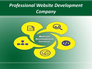 Professional Website Development Company in India