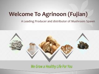 Agrinoon (Fujian) Ecological Agriculture Company Limited