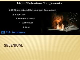 selenium Training in chennai