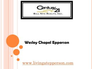 Wesley Chapel Epperson - livingatepperson.com