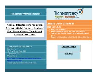 Critical Infrastructure Protection Market - Global Industry Analysis 2024