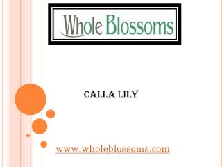 Calla Lily - www.wholeblossoms.com