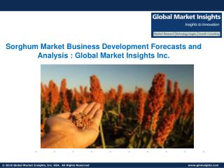 Sorghum Market Share, Research Reports & Industry Analysis, 2017 – 2024