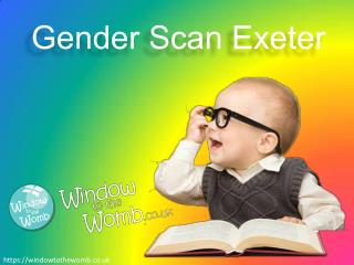 Gender Scan Exeter